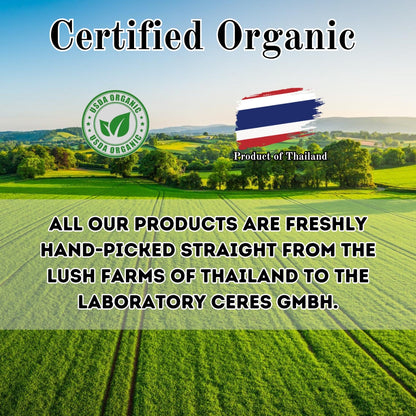 Organic Purple Hibiscus and Butterfly Pea Flower Tea